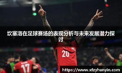 坎塞洛在足球赛场的表现分析与未来发展潜力探讨